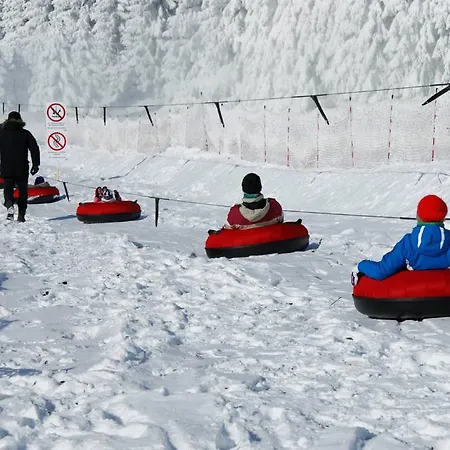 Deluxe Mit Sauna Apartment Braunlage