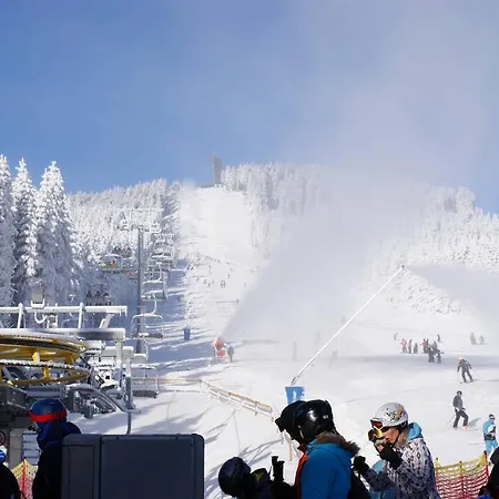 Deluxe Mit Sauna Braunlage