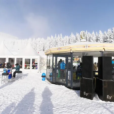 Deluxe Mit Sauna Apartment