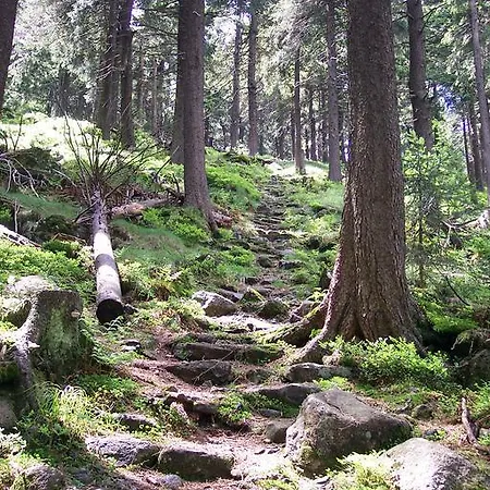 Apartment Deluxe Mit Sauna *