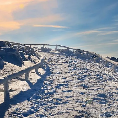Apartment Deluxe Mit Sauna Braunlage