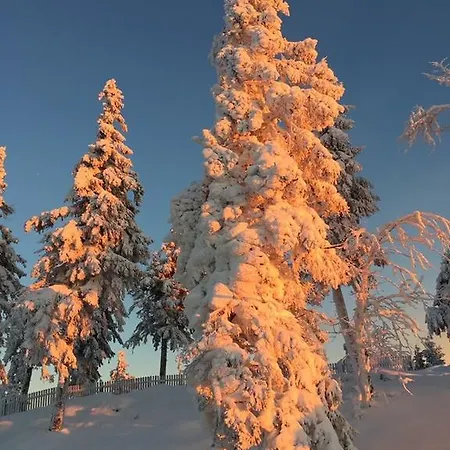 Deluxe Mit Sauna Apartment *