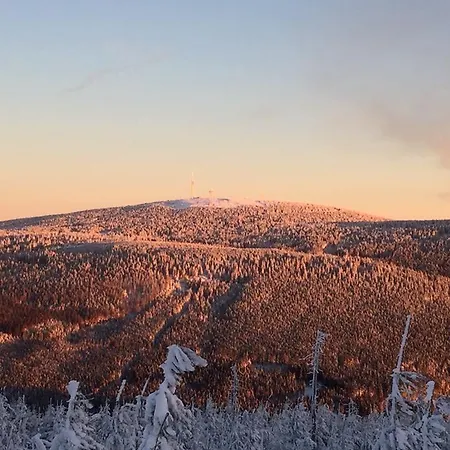 Apartment Deluxe Mit Sauna Braunlage