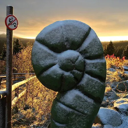 Deluxe Mit Sauna Apartment Braunlage