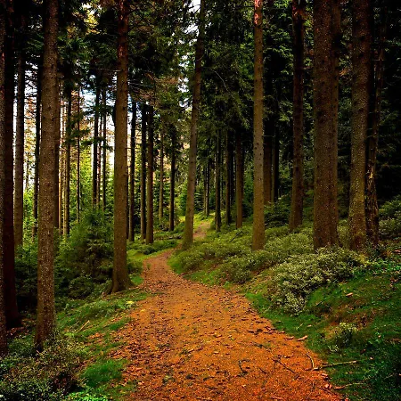 Deluxe Mit Sauna * Braunlage