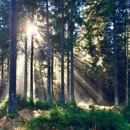 Deluxe Mit Sauna Apartment *