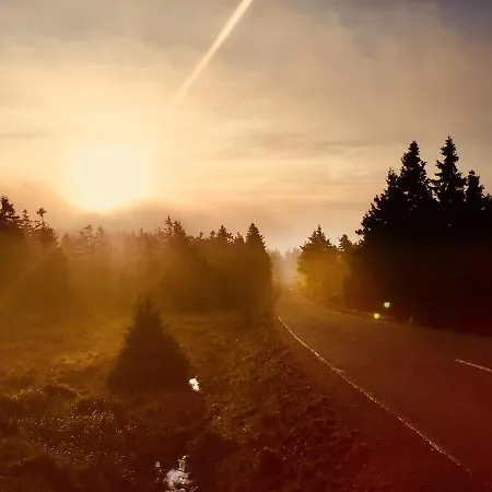 Deluxe Mit Sauna Apartment