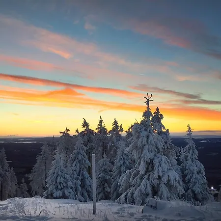 Apartment Deluxe Mit Sauna Braunlage