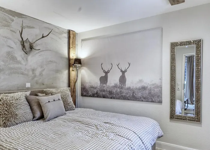 Deluxe Mit Sauna Daire *