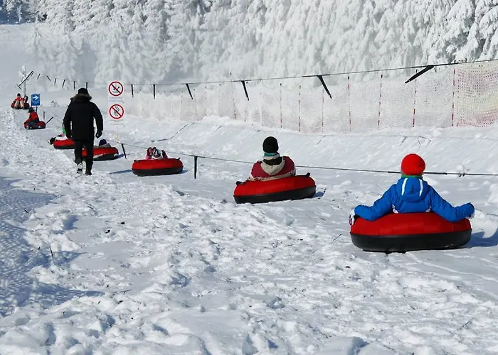 Deluxe Mit Sauna Daire Braunlage