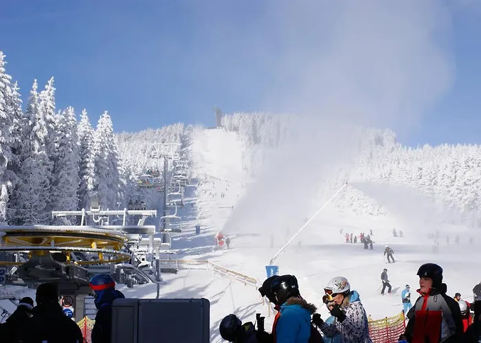 Deluxe Mit Sauna Braunlage