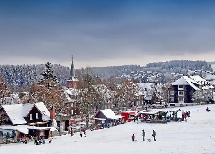 Deluxe Mit Sauna Daire Braunlage