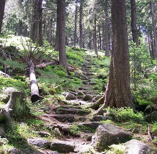 Daire Deluxe Mit Sauna *