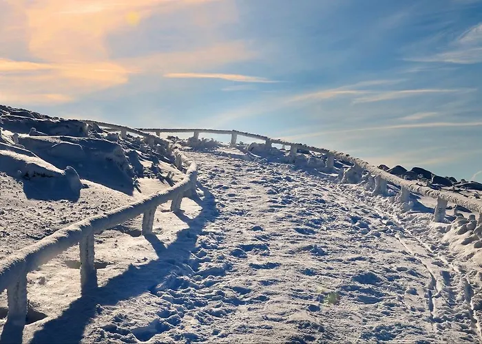 Daire Deluxe Mit Sauna Braunlage