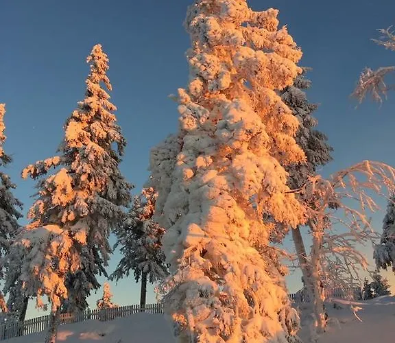 Deluxe Mit Sauna Daire *