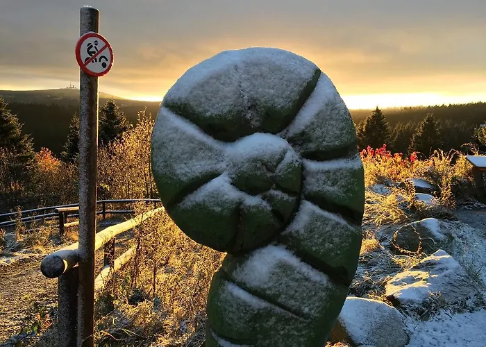 Deluxe Mit Sauna Daire Braunlage