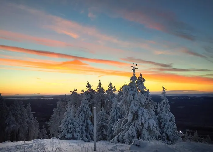 Daire Deluxe Mit Sauna Braunlage
